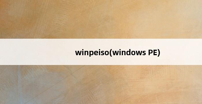 winpeiso(windows PE) 